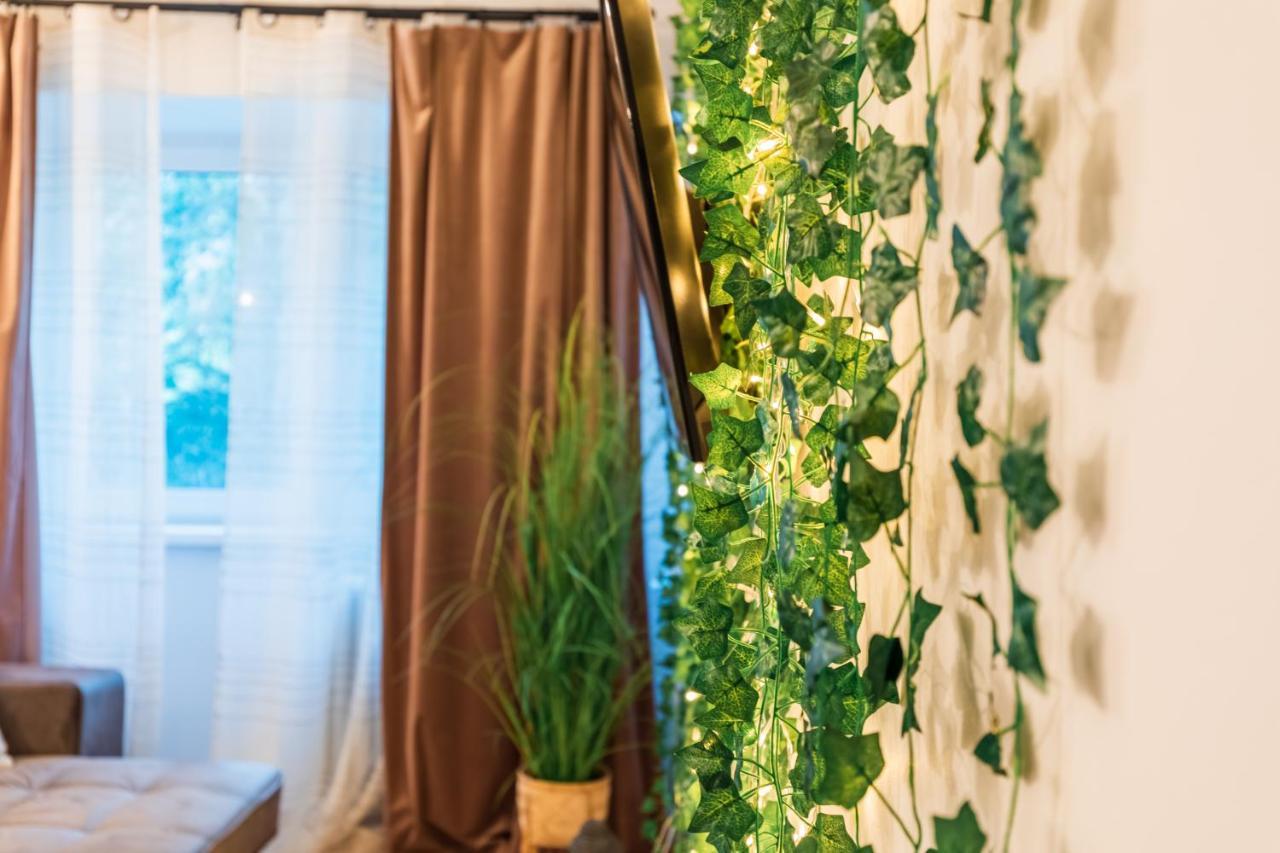 Jungle Apartment 15 Min Walk To Beach & Downtown 康斯坦察 外观 照片