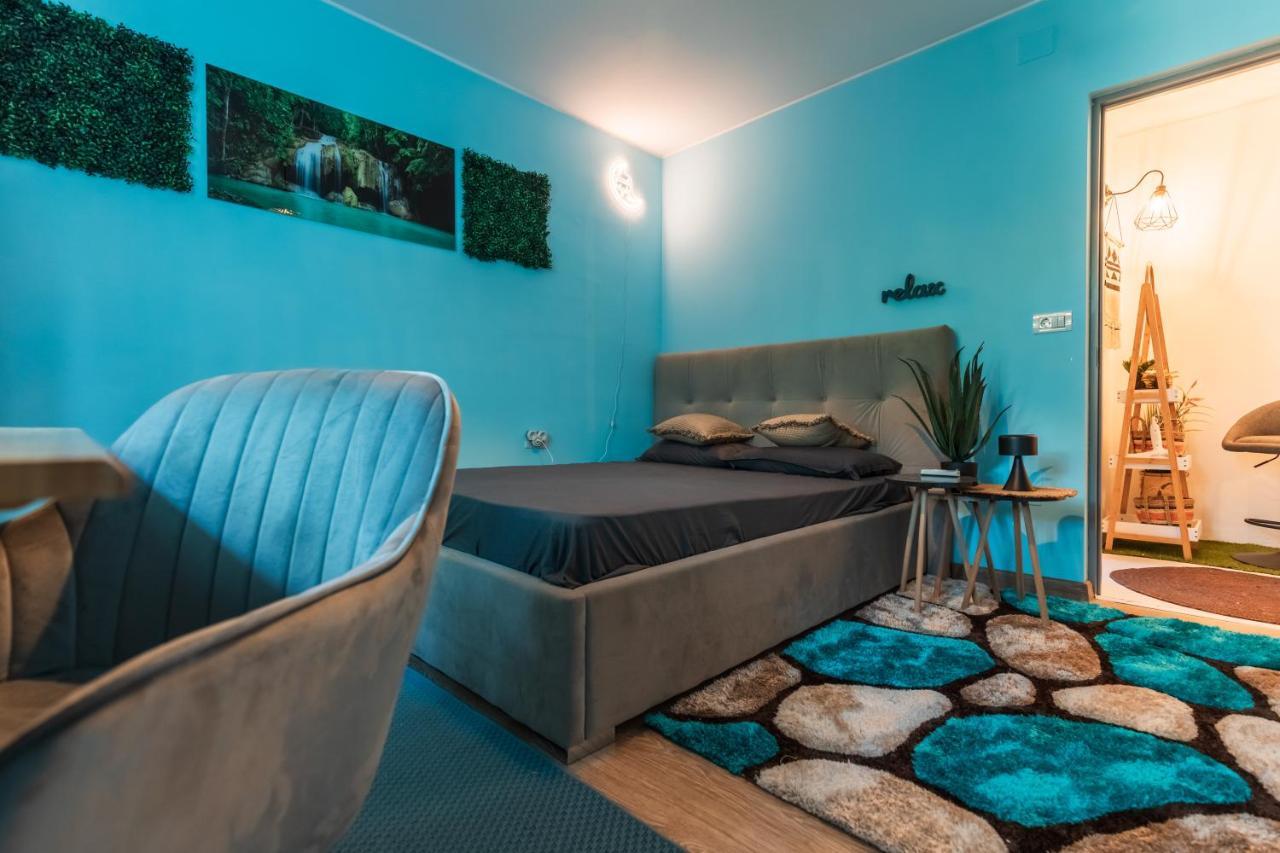 Jungle Apartment 15 Min Walk To Beach & Downtown 康斯坦察 外观 照片