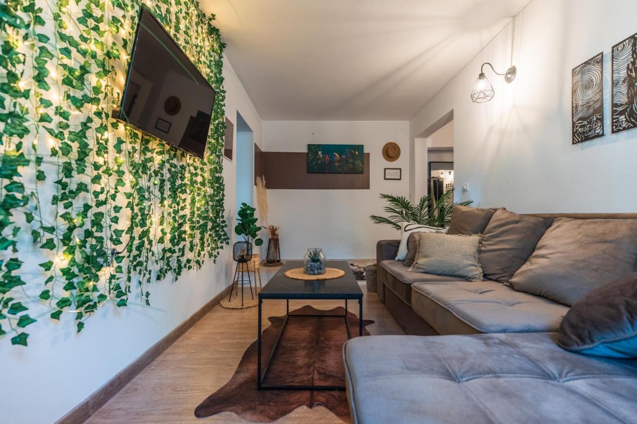 Jungle Apartment 15 Min Walk To Beach & Downtown 康斯坦察 外观 照片