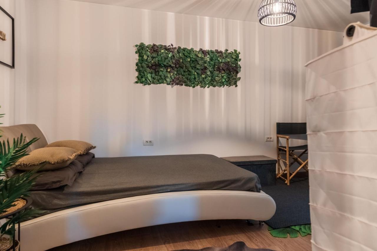 Jungle Apartment 15 Min Walk To Beach & Downtown 康斯坦察 外观 照片