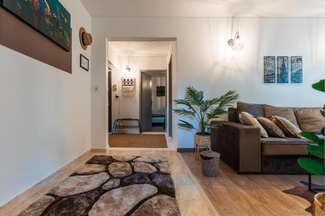 Jungle Apartment 15 Min Walk To Beach & Downtown 康斯坦察 外观 照片